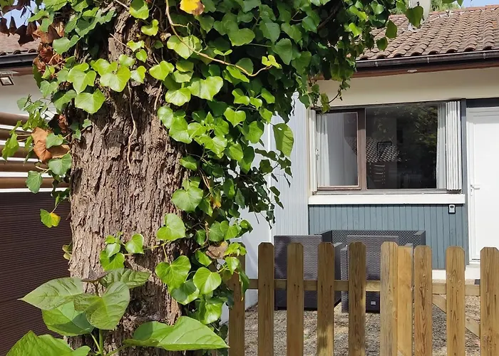 Διαμέρισμα Vk