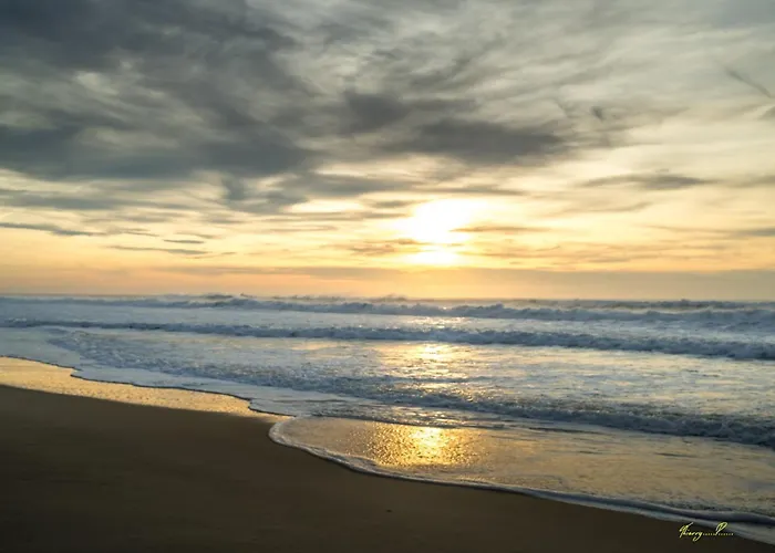 Vk Διαμέρισμα *