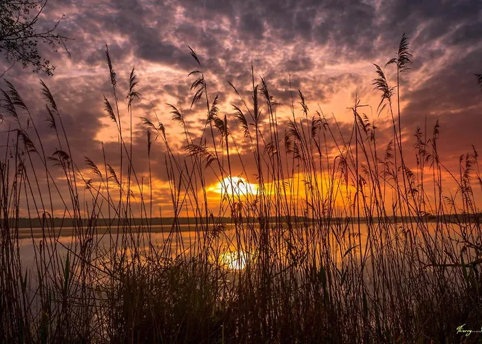 Vk Διαμέρισμα *